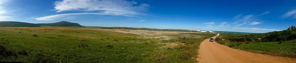 Panorama of spring flowers in the Postberg area during August to September