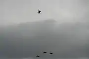 U.S. Navy aviators execute a missing man formation during the memorial flyover of the George Bush Presidential Library Center on December 6, 2018.