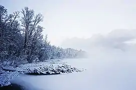 Prestvannet during winter.