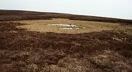 A heather moorland shot with a small amount of water in the middle