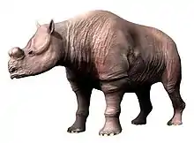 Protitanops curryi reconstruction