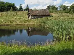 View from a pond in Czarnkowie