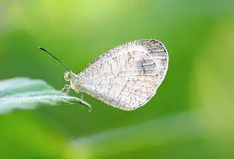 In Kerala, India