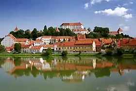 Ptuj Castle above the town