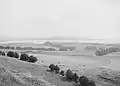 Puketutu Island (then called 'Weekes' Island') in the 1910s, before it lost most of its cones to quarrying.