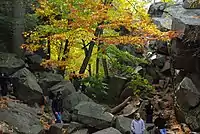 Partial view of the park, with visitors.