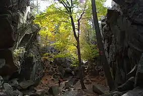 View of Purgatory Chasm, looking south, in 2008.