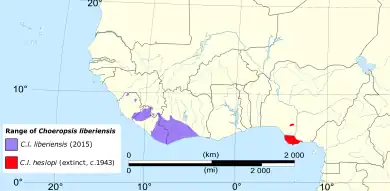 Map of west Africa showing two sets of pygmy hippopotamus populations: several around Liberia, and one in Nigeria