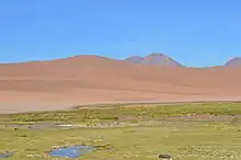 A green wetland in the foreground with sandy dry peaks in the background on a blue sky