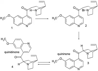 Quinine synthesis by Rabe & Kindler