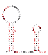 rteR Secondary structure taken from the Rfam database. Family RF04181