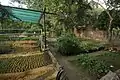 View of native plants nursery at Rao Jodha Desert Rock Park