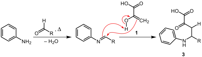 Reaktionsmechanismus-Vorschlag (2) der Doebner-Reaktion