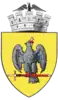 Coat of arms of Curtea de Argeș