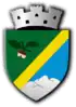 Coat of arms of Huedin