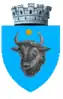 Coat of arms of Sighetu Marmației