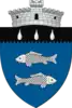 Coat of arms of Bilca