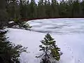 Robert T. Brown Nature Sanctuary in wintertime