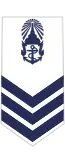 Petty Officer 1st Class