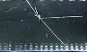 Alpha particles from a radium source in a cloud chamber