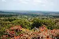 Petén–Veracruz moist forests, Guatemala