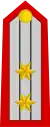 Lieutenant Colonel