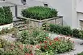 Privately own plants at the Hintergasse street