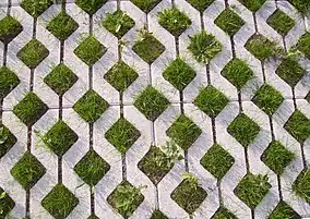 Permeable pavement