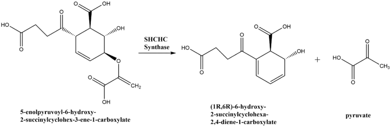 Reaction scheme for conversion of SEPHCHC to SHCHC by SHCHC synthase.