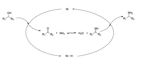 Figure of a reaction scheme of Ni-catalyzed reductive amination: First, the nickel metal dehydrogenates the alcohol to form a ketone and Ni-H complex. Then, the ketone reacts with ammonia to form an imine. Finally, the imine reacts with Ni-H to regenerate catalyst and form primary amine.