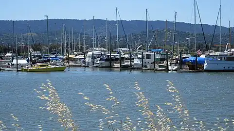 Marina along the creek