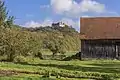 A garden with a view