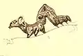 Illustration Caterpillar