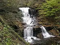 A cascade fall is at the top and below the cascade is a fall split by a rock into two, with a straight drop into a plunge pool. It is autumn, with leaves in various stages of color on the trees; some are green and others are orange or yellow. Fallen leaves cover many of the rocks along the stream.