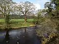 River Nidd between Birstwith and Hampsthwaite