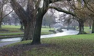 The park in December