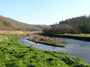 An eyot in the River Camel between Polbrock and Pendavey looking upstream.