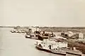 Steamboats at Murray Bridge, 1894