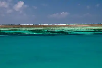 Near Robinson Island north of Malindi