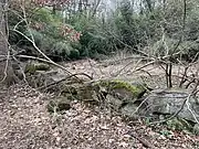 Rock Walls in Forwood Preserve