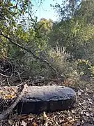 Rock on a Mound In Forwood Preserve