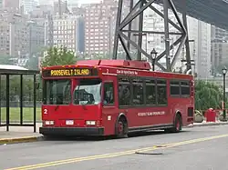 Red-colored bus