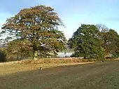 The once rumoured burial place of the battle, the cairn of Rottenreoch