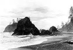 Near Olympic National Park, 1936