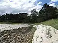 Ruffey Creek vegetation restoration