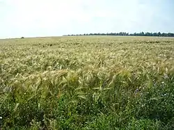 Landscape in Ruzayevsky District