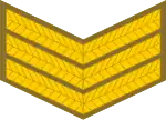 Sergeant(South African Army)