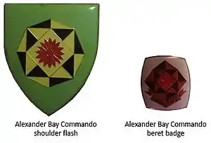 SADF era Alexander Bay Commando insignia