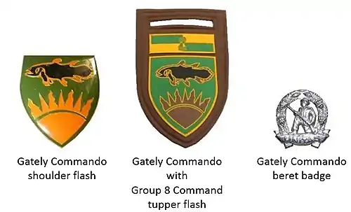 SADF era Gately Commando insignia