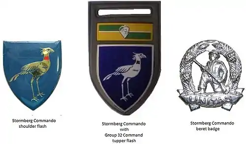 SADF era Stormberg Commando insignia